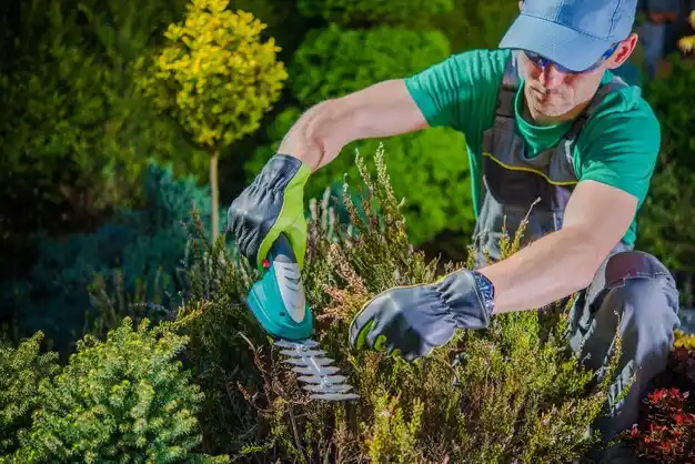 landscaping services Convent